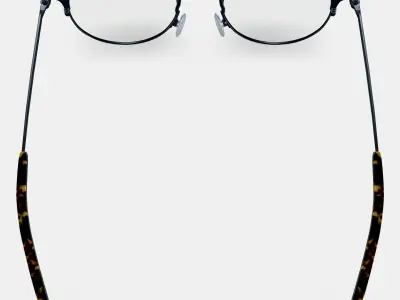 Patel Eyeglasses in Brushed Ink 3D model
