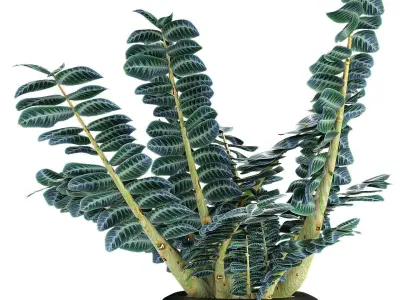 Plant in Pot Flowerpot Exotic Plant 3D model shop