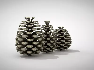 Christmas Pine Cone 3D Model 3D model
