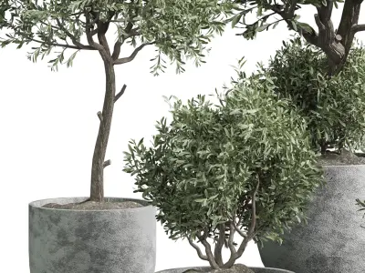 Indoor plant 01 3D model buy