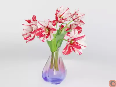 Fringe Tulips 3D model