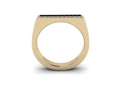Jewelry Ring Free 3D print model