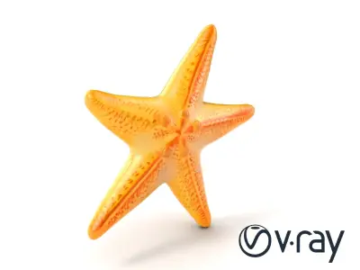 Starfish Natural Color Detailed Shape model pack Low-poly 3D model