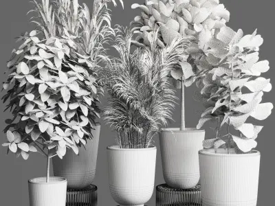 collection Indoor plant 35 -concrete vase Low-poly 3D model