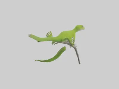 Green Anole climbing model Low-poly 3D model