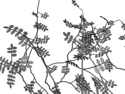 Decorative tree in a pot HG2 3D model