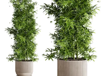 Collection indoor outdoor plant 144 plant bamboo vase concrete 3D model