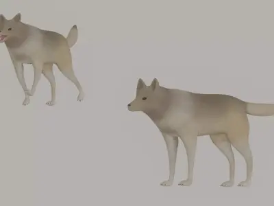 Wolf model 3D model