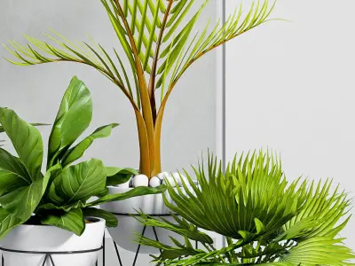 Decorative plant set-24 3D model