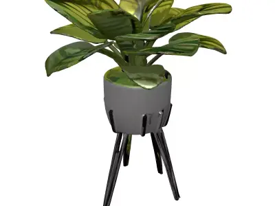 Modern Potted Houseplant with Metal Stand Low-poly 3D model