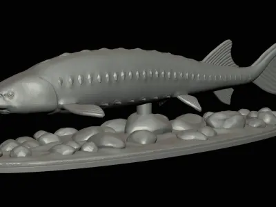sturgeon vyza fish underwater statue detailed texture 3D print model