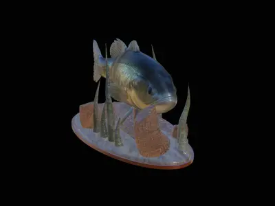 fish bass in motion underwater statue detailed texture 3D print model