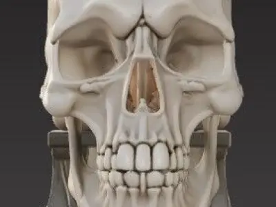Skull-Themed Book Support Object  3D Printable Model 3D print model