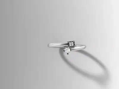 Gold Double Setting Diamond Ring 3D Printable Design 3D print model