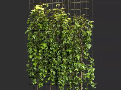 Room Divider Planter 3D model