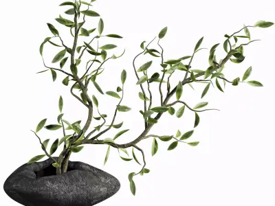 bouquet 3D model 14