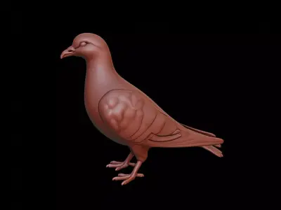 Pigeon Animal Sculpture 3D print model get