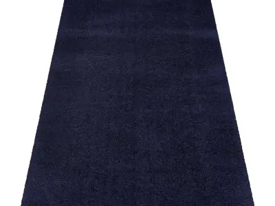 Rug Set 1755 3D model
