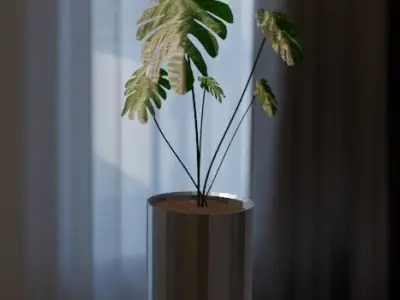 Luxury Monstera Indoor Plant 3D model