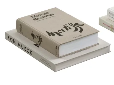 Coffee Table Books 5 3D model