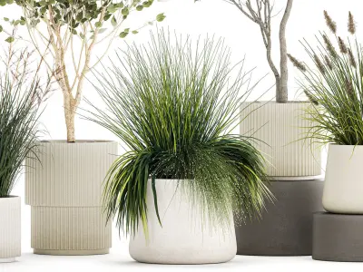 Beautiful bushes trees and grass in a flower pot for decoration  3D model