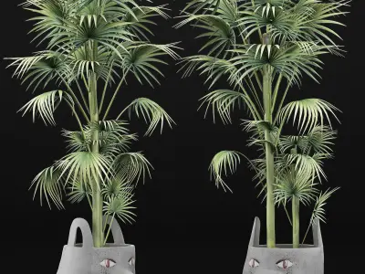 Plants Collection 141 Sabal Minor 3D model