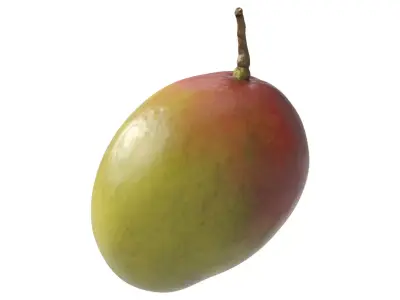 Mango 3D model