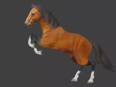 Jumping-Running-Walking Brown Horse  Low-poly 3D model