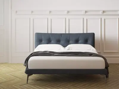 Arca Standard 3D model