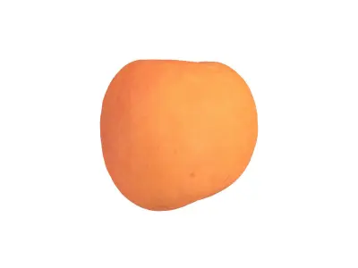 Photorealistic Apricot 3D Scan 2 3D model