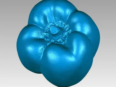Real Paprika Chilli High Detail 3D Scan 3D print model