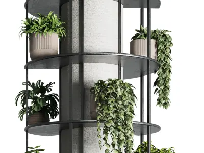 Column plant - pillar plant 03 3D model