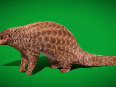 Pangolins Scaly Anteater Low-poly 3D model
