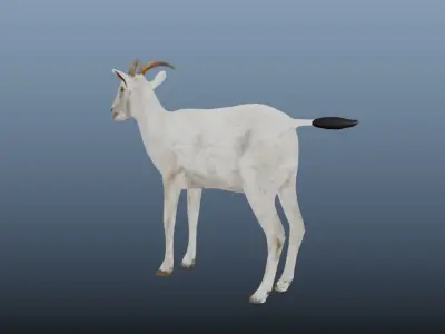 Goat  Animated VFX Grace  Low-poly 3D model