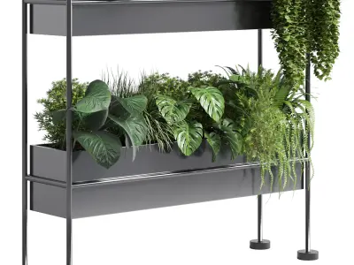 stand wall decor with shelves for the closet or showcase plants 3D model