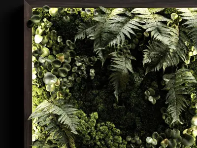 Phytowalls collection 3D model