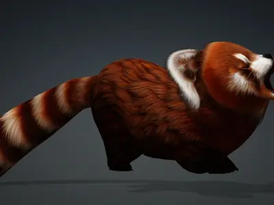 Red Panda-A2 3D model