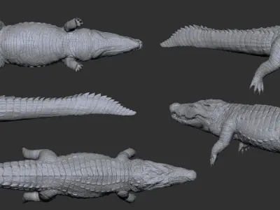 Nile Crocodile 3D Model LowPoly SubD HighPoly Decimated Low-poly 3D model