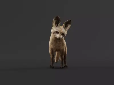 Bat Eared Fox Animal  Low-poly 3D model