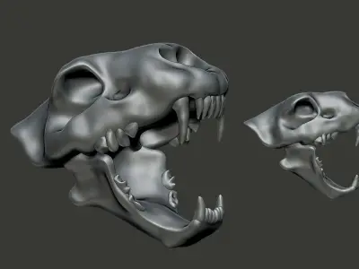 lion skull  3D model