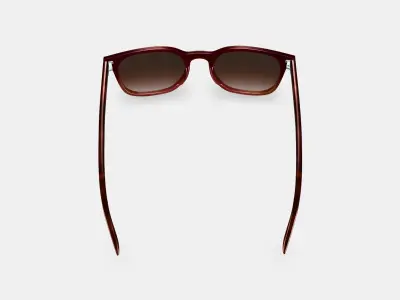 Rosie Sunglasses in Mulberry Tortoise Fade 3D model