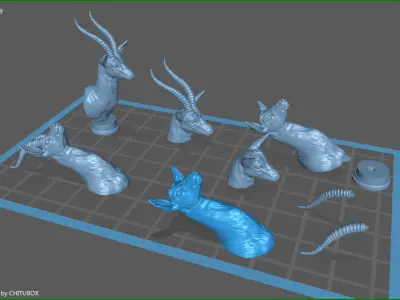 Thomsons Gazelle bust 3D print model