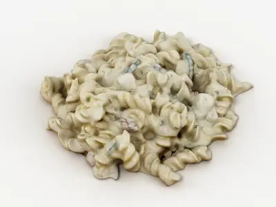 Pasta In Creamy Sauce 3D model