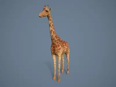 Giraffe Low-poly 3D model