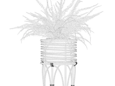 Fern in rattan stand 3D model purchase