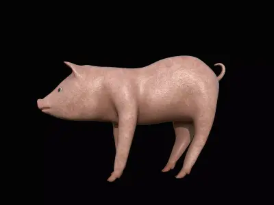 Pig animal 3D model purchase