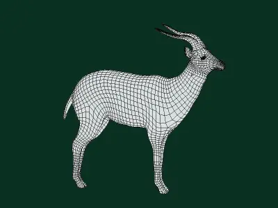 Springbok Antelope Animal  Low-poly 3D model