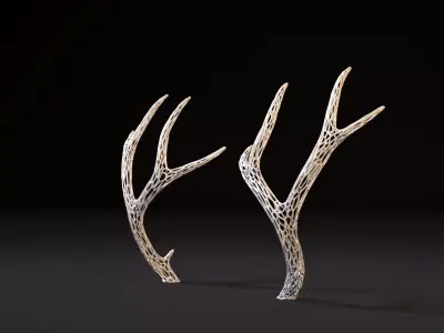 Deer horns 3D print model
