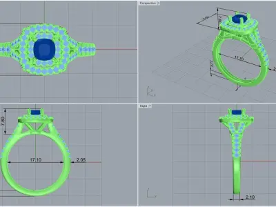  ring code 244 3D print model
