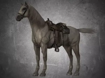 Horse - D11-D12 3D model